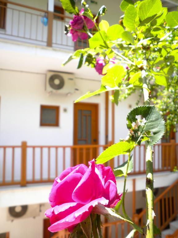 Kostas Studios II فاسيليكي المظهر الخارجي الصورة
