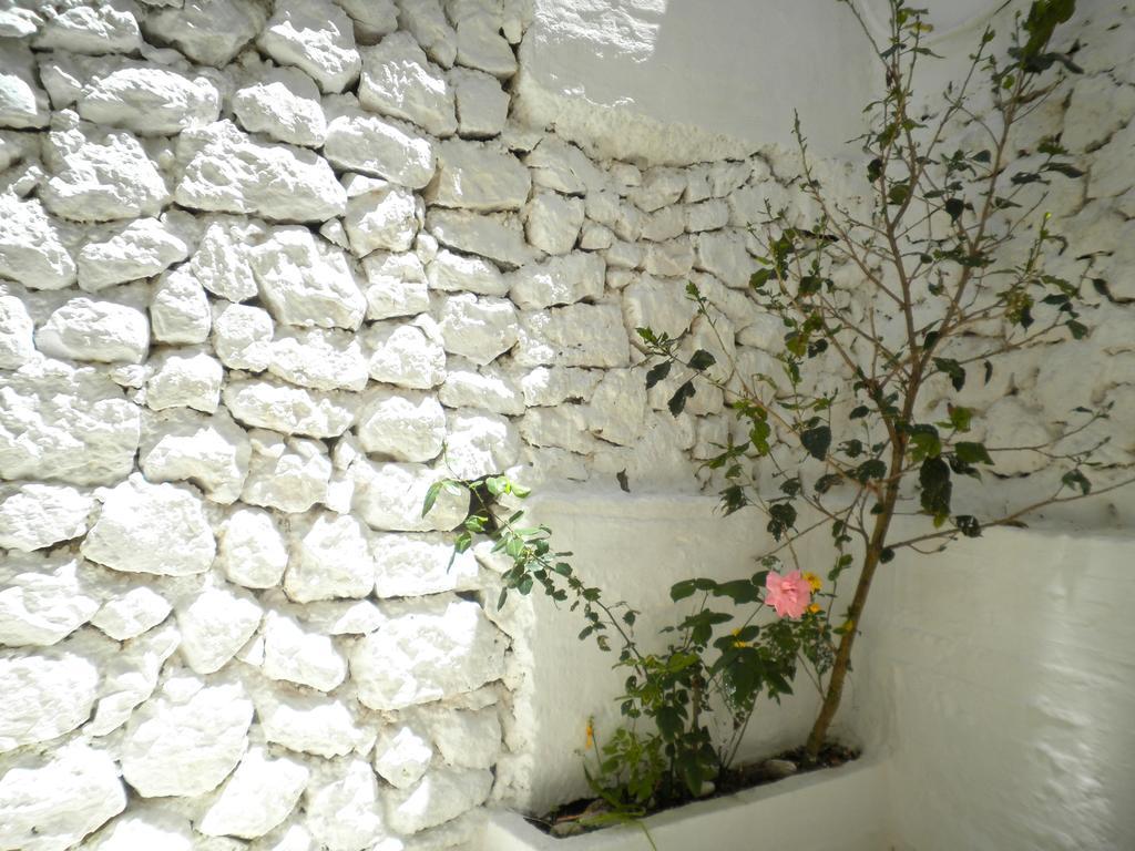 Kostas Studios II فاسيليكي المظهر الخارجي الصورة