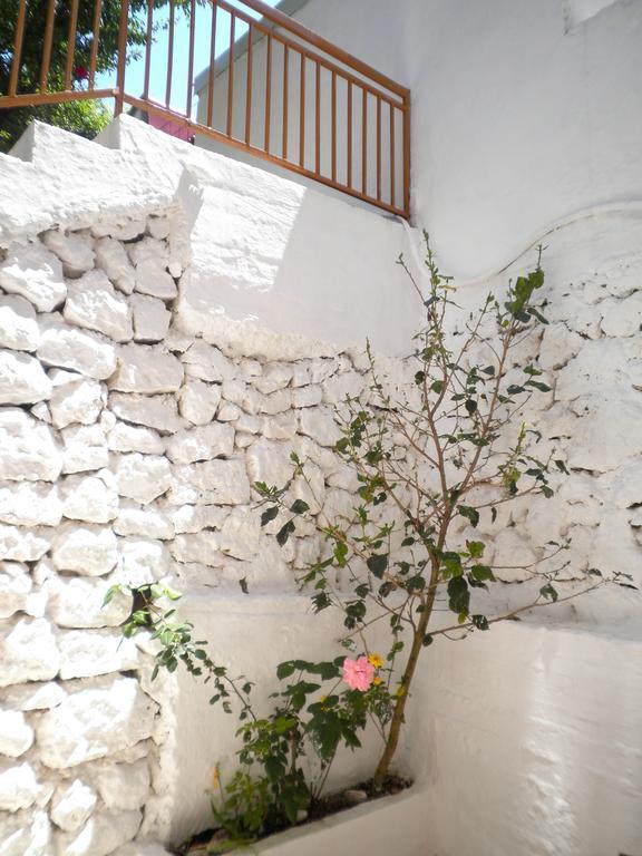 Kostas Studios II فاسيليكي المظهر الخارجي الصورة